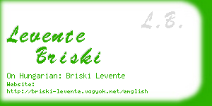 levente briski business card
